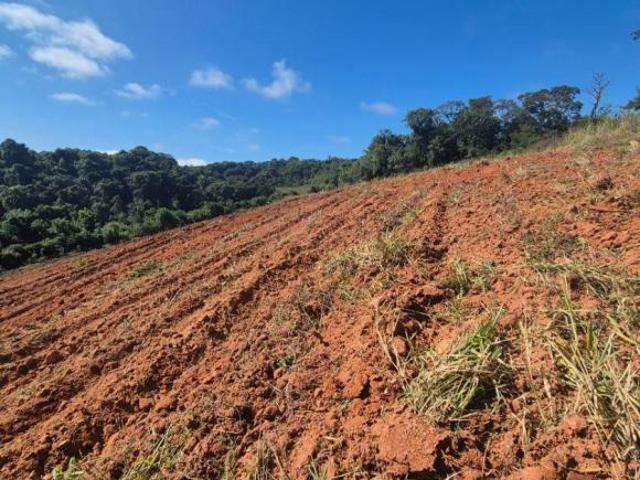 Sítio e chácara venda em Região Imediata de Sorocaba, Região Metropolitana de Sorocaba