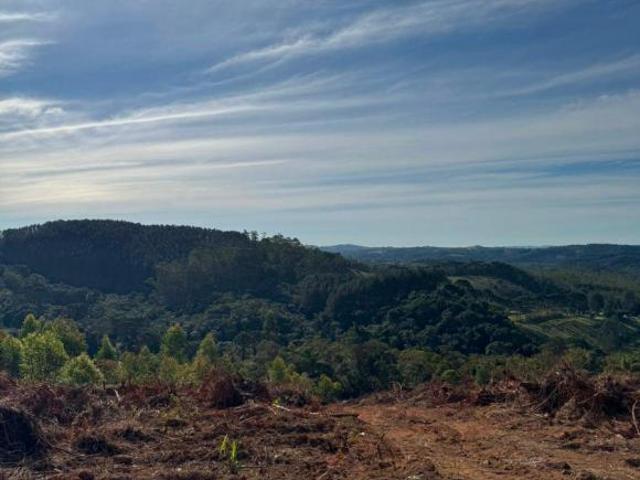 Terreno venda em Região Imediata de Sorocaba, Região Metropolitana de Sorocaba