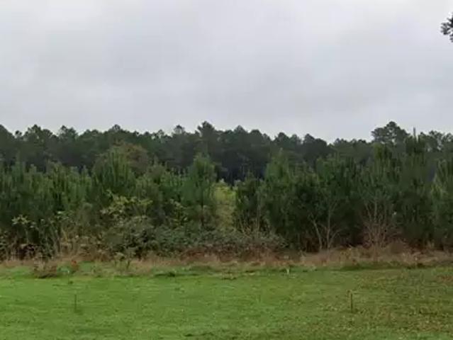 Terrain vente à France métropolitaine, Préchac