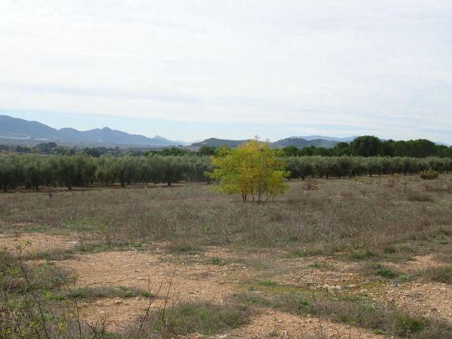 Local Comercial en venta en Beneixama