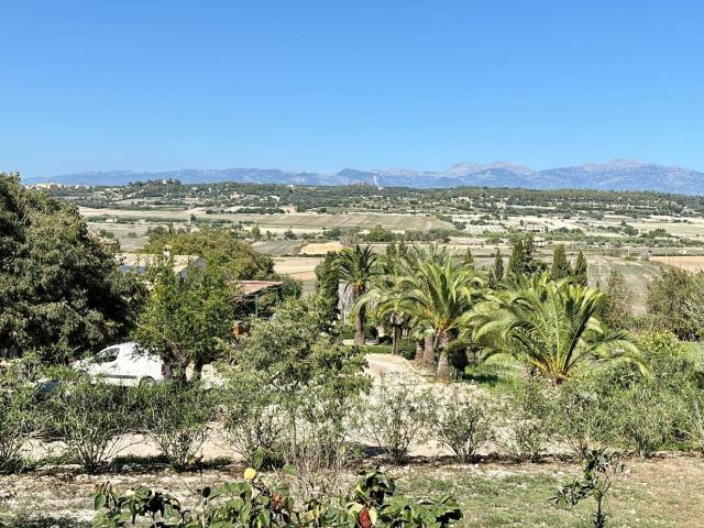 Casa en alquiler en Pla de Mallorca, Baleares