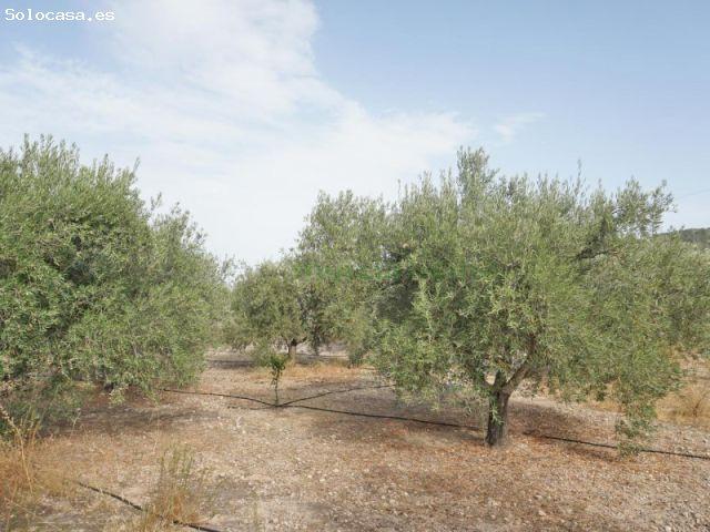 Casa en venta en Valle de Ricote, Murcia