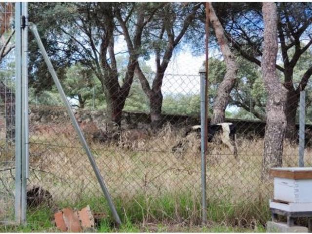 Local Comercial en venta en Galapagar, Madrid