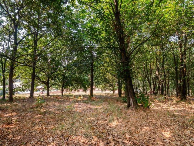 Terreno en venta en Las Regueras, Asturias