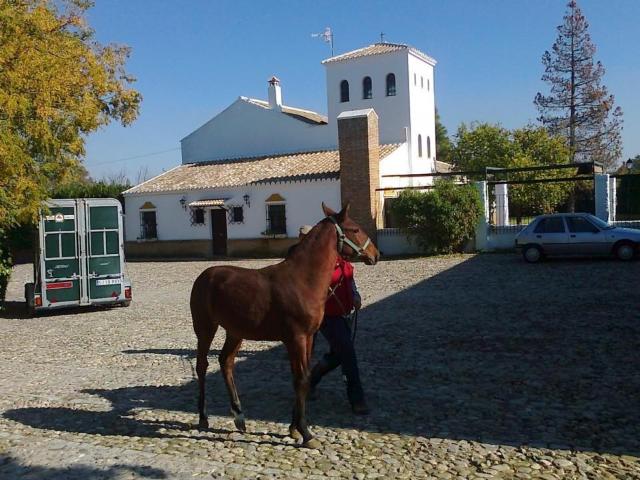 Local Comercial en venta en La Puebla De Cazalla, Andalucía