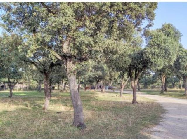 Local Comercial en venta en La Navata, Galapagar