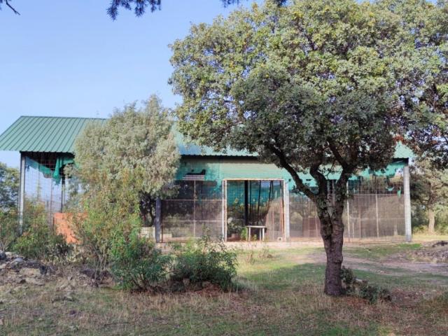 Terreno en venta en Galapagar, La Higuera