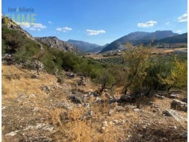 Casa en venta en Serranía de Ronda, Andalucía