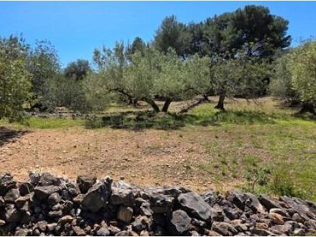 Local Comercial en venta en Baix Ebre, Catalunya