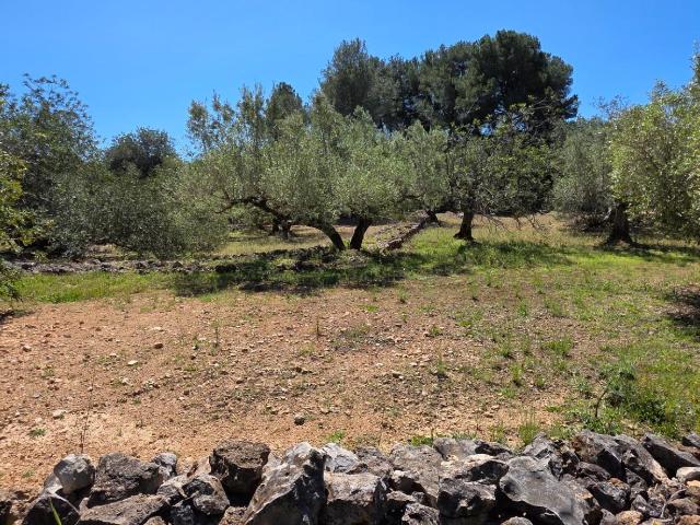 Chalet en venta en Baix Ebre, Catalunya