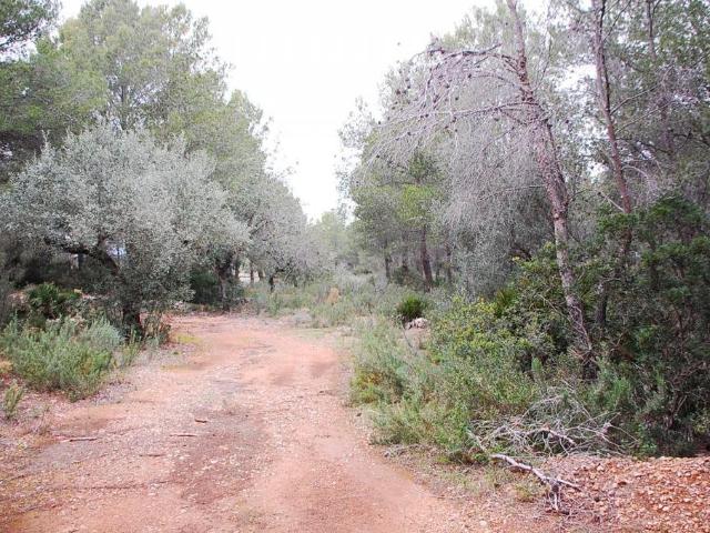 Casa en venta en la Part de Cala, l'Ametlla de Mar