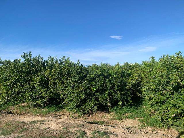 Terreno en venta en Los Ramos, Área Metropolitana de Murcia