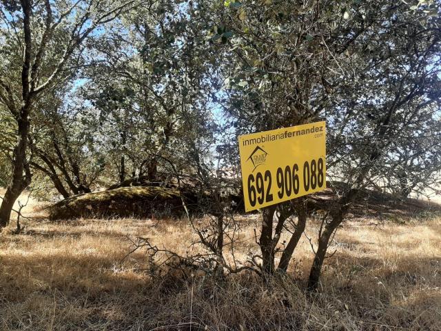 Terreno en venta en Torreorgaz, Extremadura
