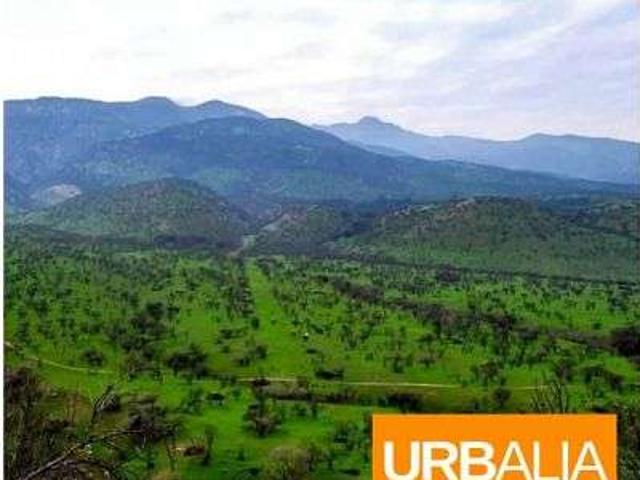 Terreno en venta en Colina