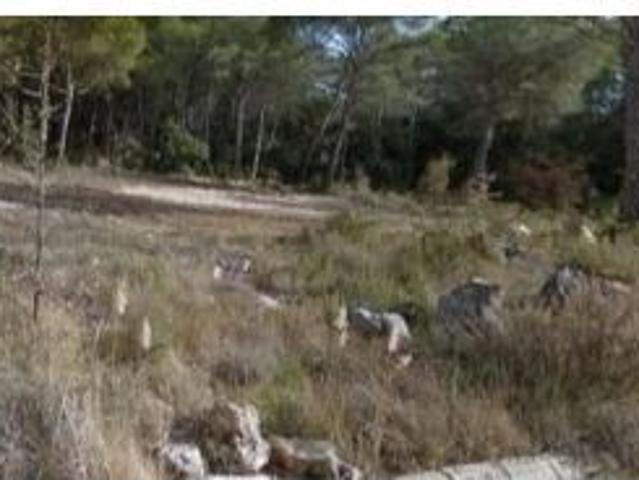 Local Comercial en venta en Alt Camp, Catalunya