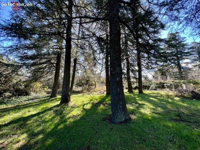 Local Comercial en venta en Cercedilla, Madrid