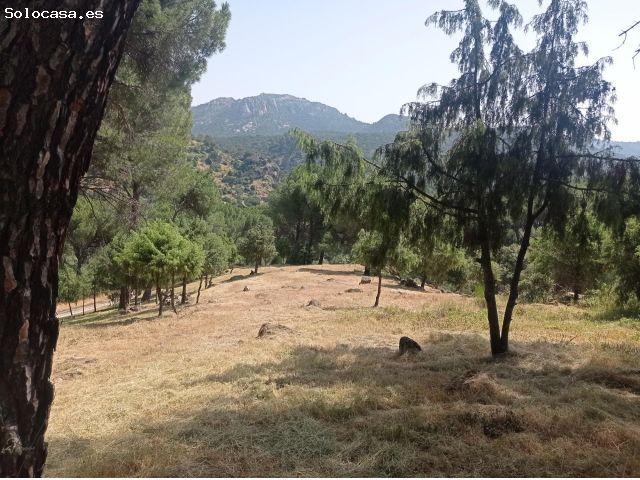 Local Comercial en venta en Costa de Madrid, San Martín De Valdeiglesias