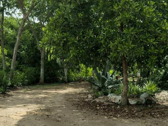 Quinta en venta en Baca, Yucatán
