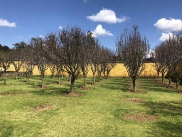 Quinta en venta en Villa Del Carbón, Estado de México