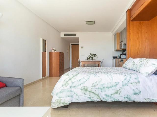 Estudio en alquiler en Valencia, Penya-roja