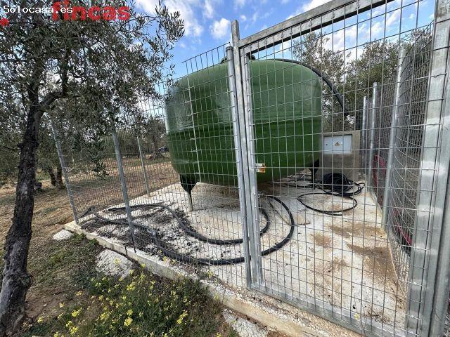 Local Comercial en venta en Arahal, Andalucía