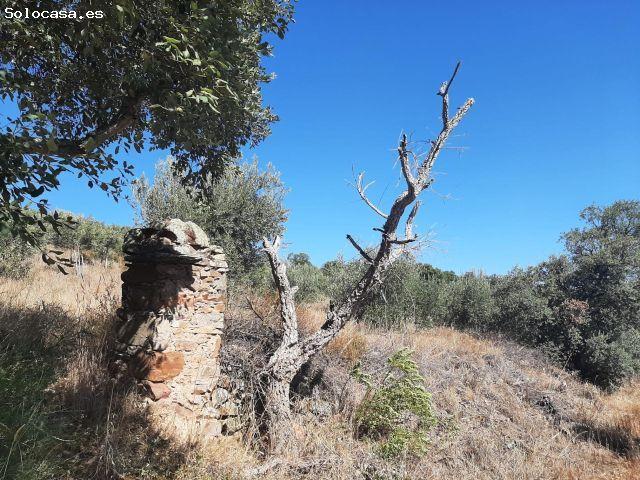 Local Comercial en venta en Cáceres - Sierra de Montánchez, Extremadura