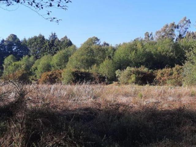 Rancho en venta en Almoloya De Juárez, Estado de México