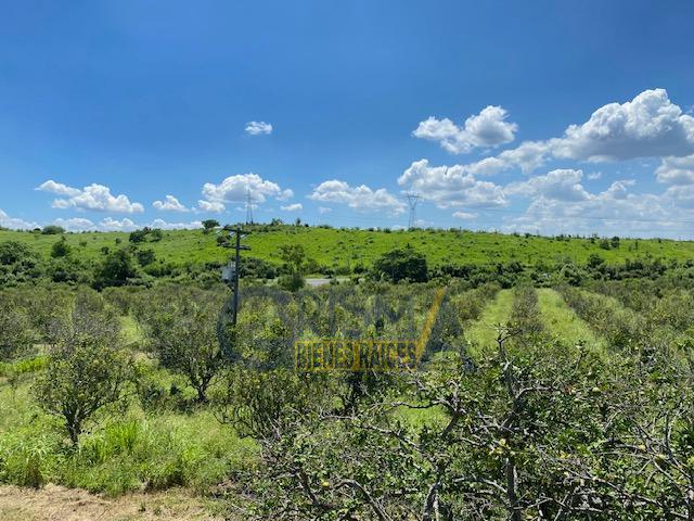Departamento en venta en Tepetzintla, Veracruz