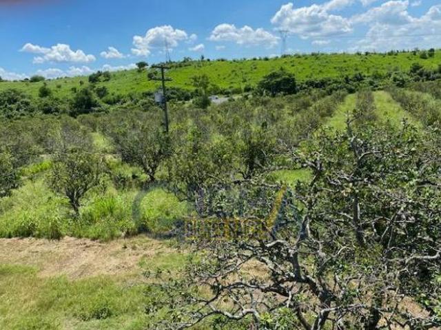 PRECIOSO RANCHO AGRÍCOLA EN CARRETERA A TEPETZINTLA