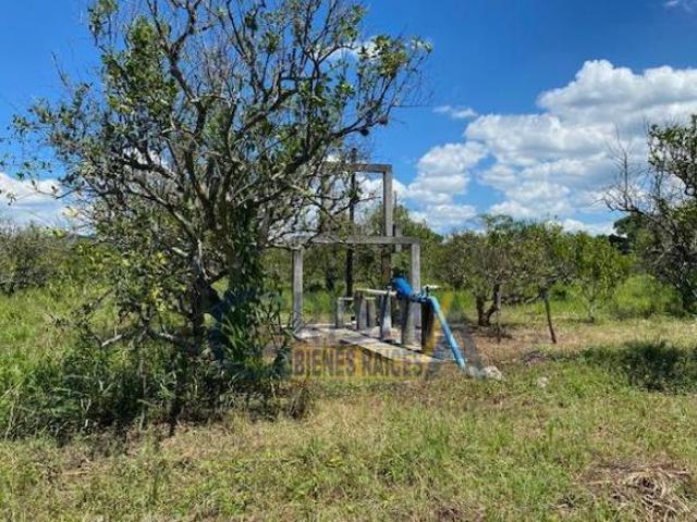 PRECIOSO RANCHO AGRÍCOLA EN CARRETERA A TEPETZINTLA