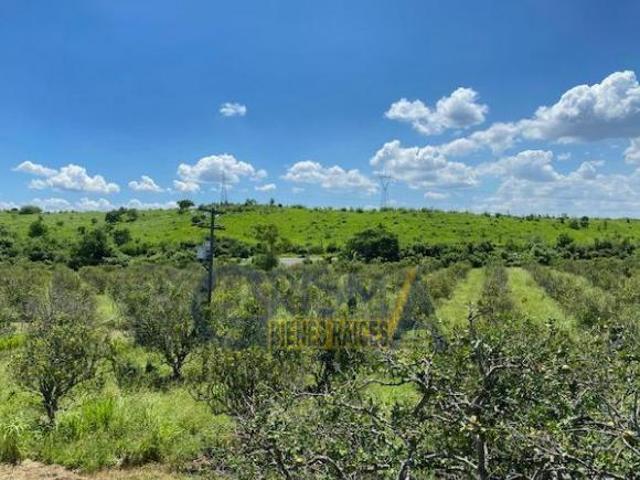PRECIOSO RANCHO AGRÍCOLA EN CARRETERA A TEPETZINTLA