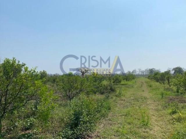 PRECIOSO RANCHO EN VENTA EN TECOXTEMPA, TIHUATLÁN