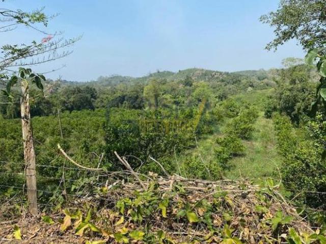 PRECIOSO RANCHO EN VENTA EN TECOXTEMPA, TIHUATLÁN