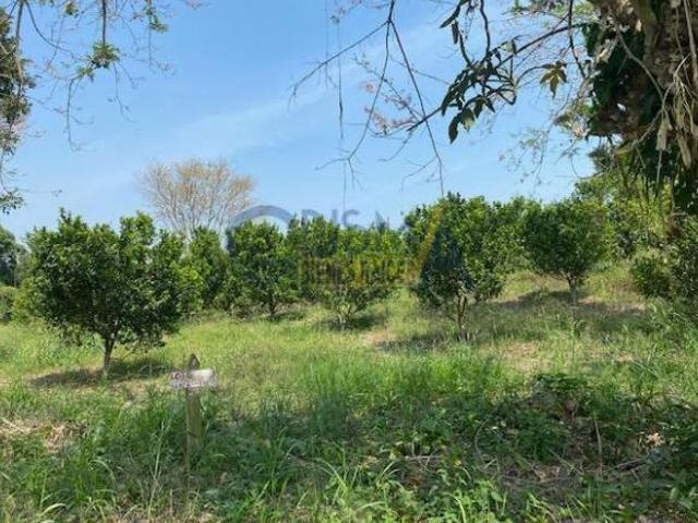 PRECIOSO RANCHO EN VENTA EN TECOXTEMPA, TIHUATLÁN