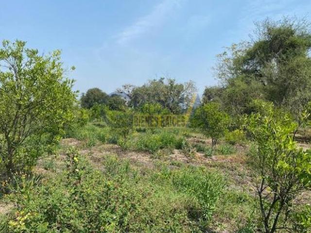 Rancho en venta en Tihuatlán, Veracruz