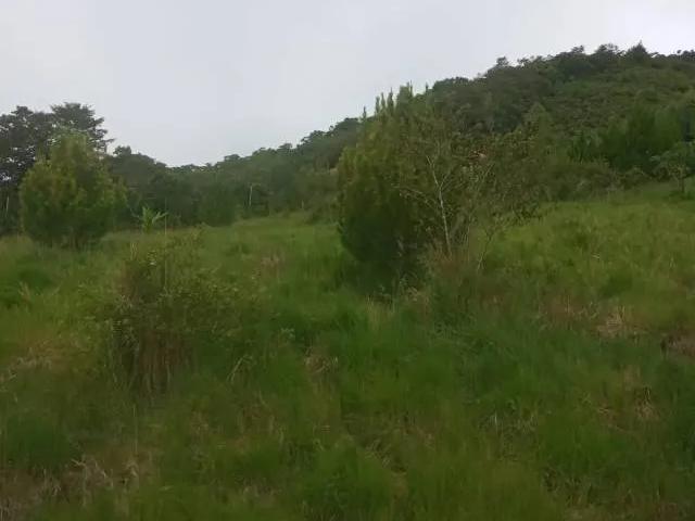 Terreno venta en Oxapampa, Pasco