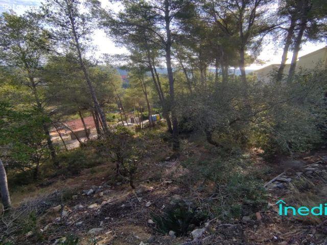 Local Comercial en venta en Baix Penedès, Catalunya