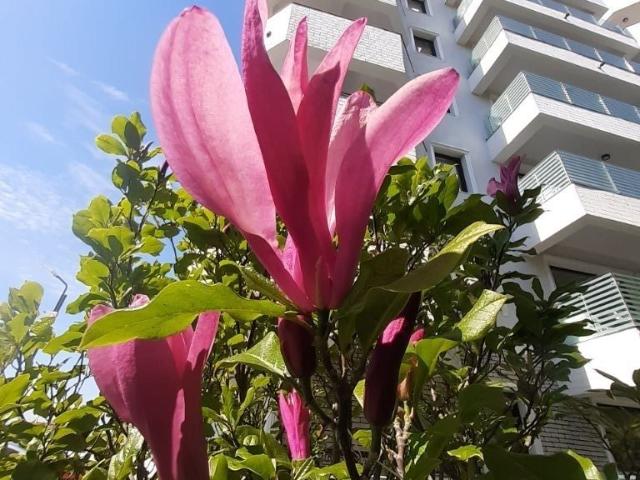 Apartament vânzări în Iași