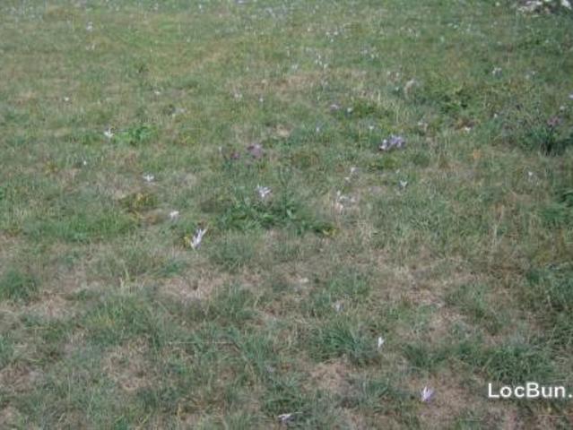 Teren vânzări în Brasov, Brașov