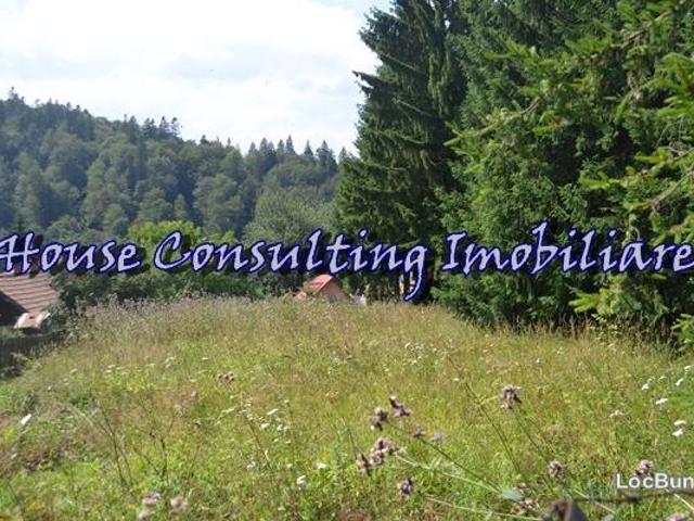 Teren vânzări în Busteni, Prahova