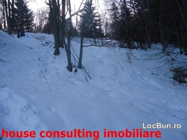 Teren vânzări în Brașov