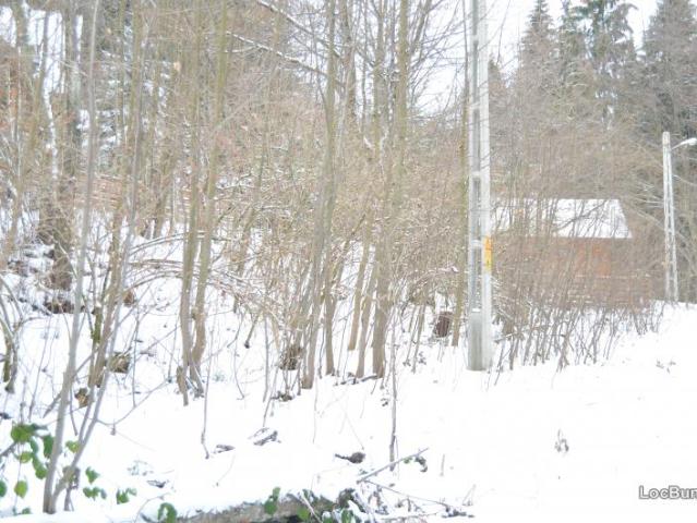 Teren vânzări în Brasov