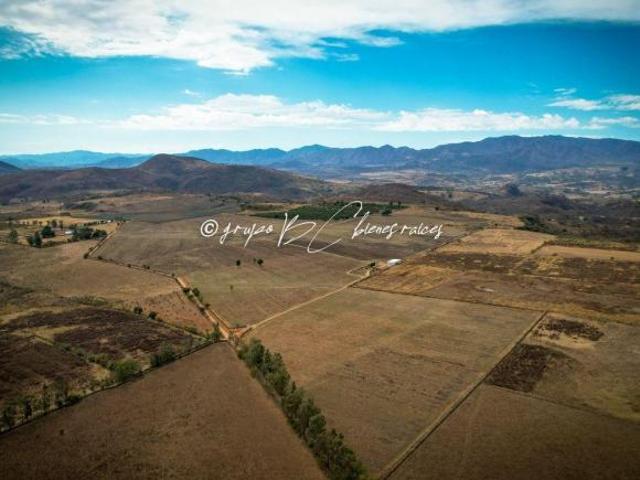 Rancho en venta en Mixtlán, Región Sierra Occidental