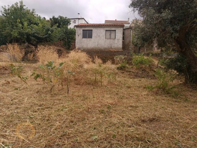 Casa venda em Castelo Branco, Cortes Do Meio