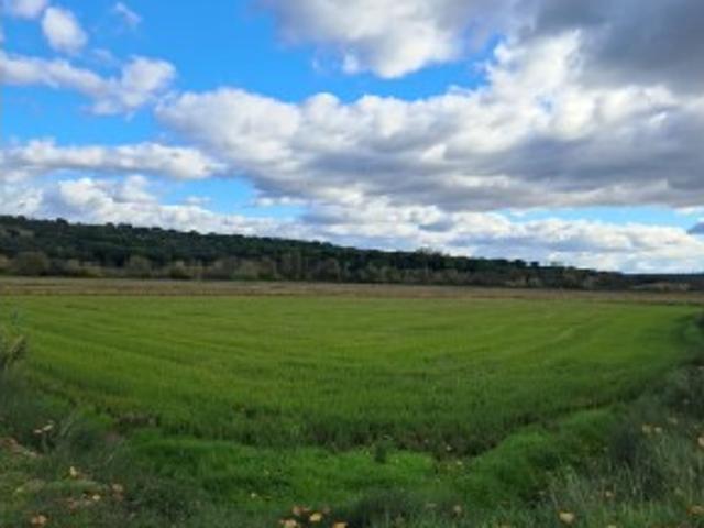 Prédio venda em Alcácer Do Sal, Setúbal