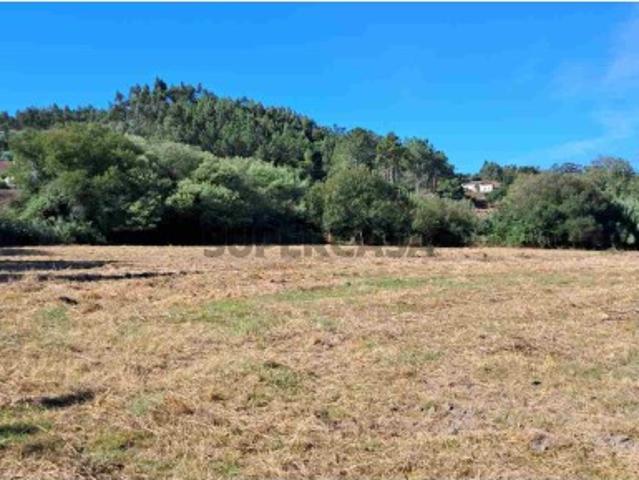 Armazém venda em Asseiceira, Rio Maior