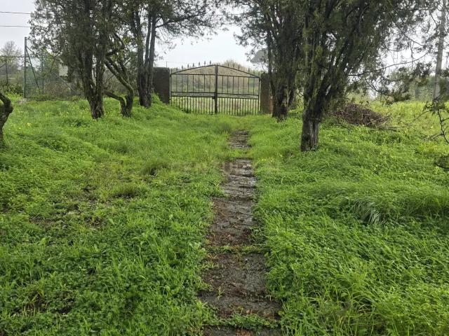Casa venda em Bisau, Calhandriz
