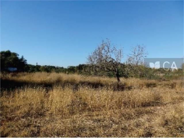 Terreno venda em Tavira, Faro