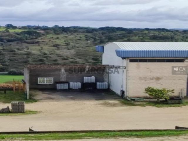 Armazém venda em Torres Novas, Santarém
