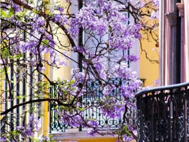 Prédio venda em Avenidas Novas, Lisboa